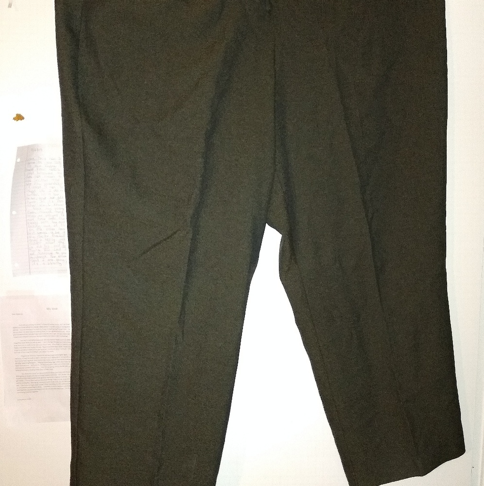 Dress pants